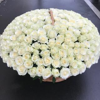 Корзина из белых роз