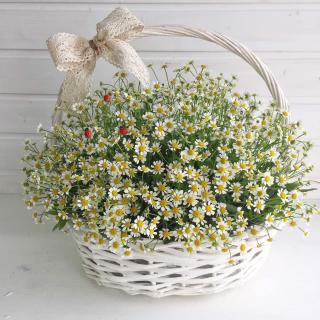 Полевая корзина